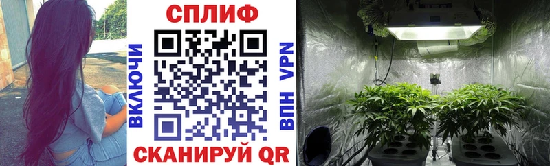 Канабис конопля Себеж